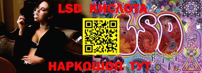 ПСИЛОЦИБИНОВЫЕ ГРИБЫ Кулебаки