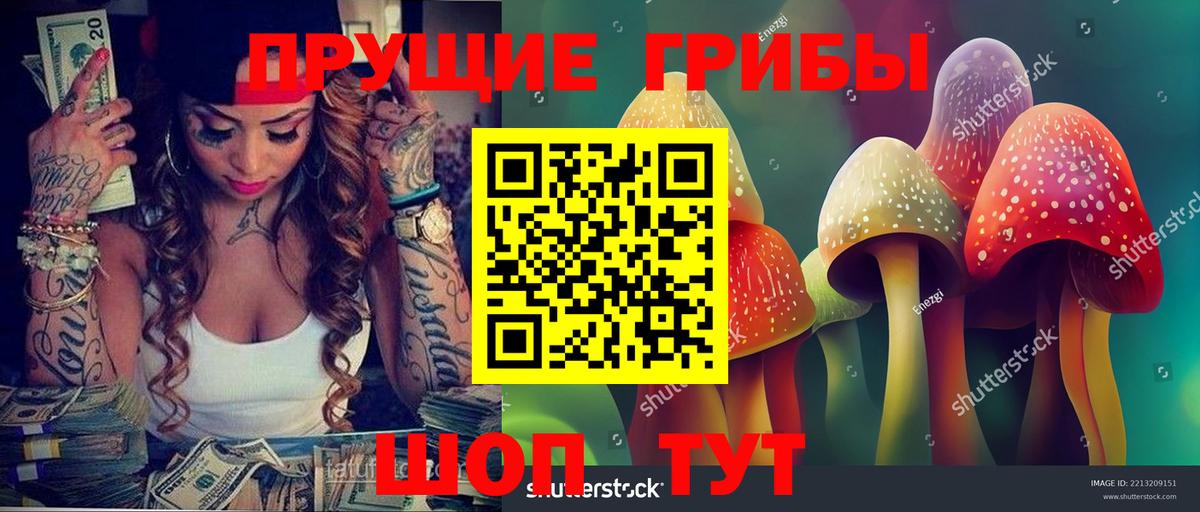 Зеленокумск  Псилоцибиновые грибы Magic Shrooms  продажа наркотиков  Псилоцибиновые грибы Cubensis  Вход с VPN 